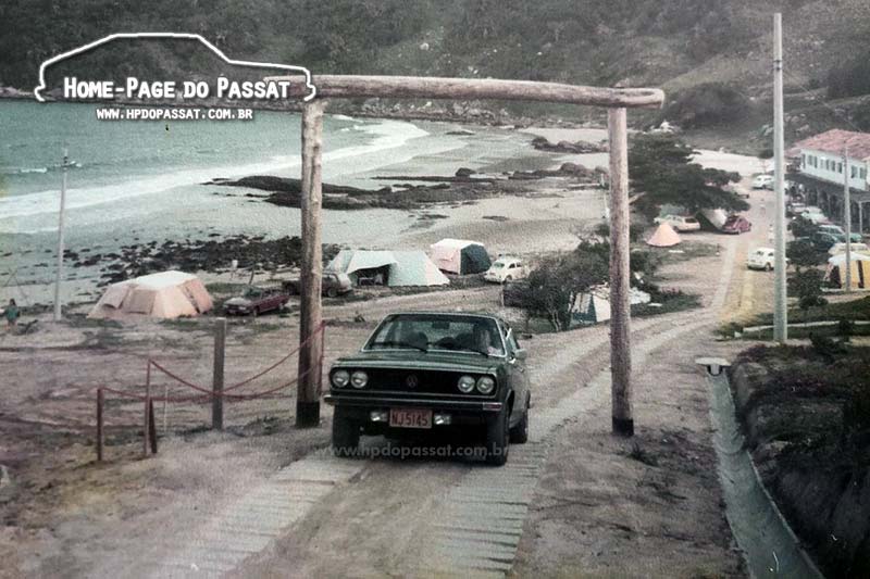 Passat TS Verde Musgo